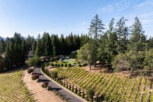 Single Family Residence, Brookside drive, Angwin, CA 94508 - 40