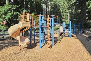 Single Family Residence, Canyon 7 road, Russian River, CA 95446 - 47