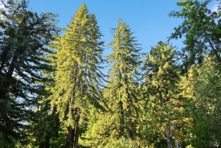 Single Family Residence, Canyon 7 road, Russian River, CA 95446 - 10