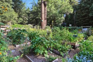 Single Family Residence, Canyon 7 road, Russian River, CA 95446 - 49