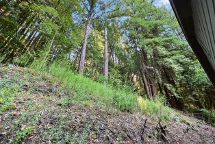 Single Family Residence, Canyon 7 road, Russian River, CA 95446 - 43