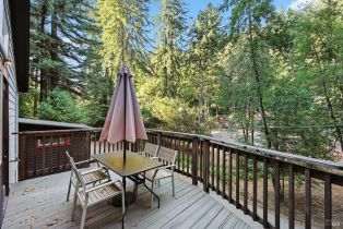 Single Family Residence, Canyon 7 road, Russian River, CA 95446 - 9