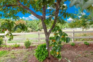 Single Family Residence, Hagen road, Napa, CA 94558 - 54