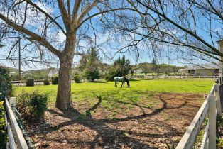 Single Family Residence, Hagen road, Napa, CA 94558 - 13