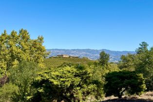 Single Family Residence, Chiquita road, Healdsburg, CA 95448 - 21