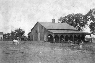 Single Family Residence, Woolsey road, Windsor, CA 95492 - 58