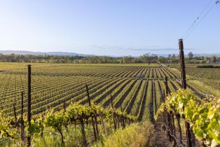 Single Family Residence, Woolsey road, Windsor, CA 95492 - 43