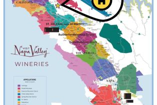 Single Family Residence, Crestmont drive, Angwin, CA 94508 - 53