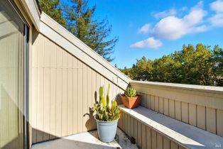 Condominium, Mission boulevard, Santa Rosa, CA 95409 - 29