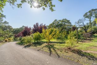 Single Family Residence, Balverne lane, Windsor, CA 95492 - 51
