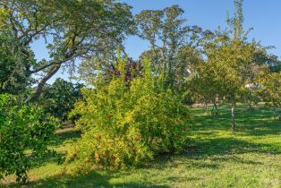 Single Family Residence, Balverne lane, Windsor, CA 95492 - 56