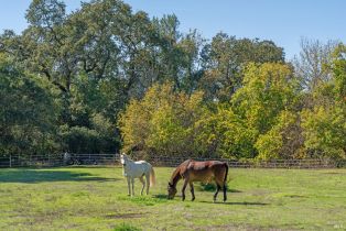 Single Family Residence, Balverne lane, Windsor, CA 95492 - 63