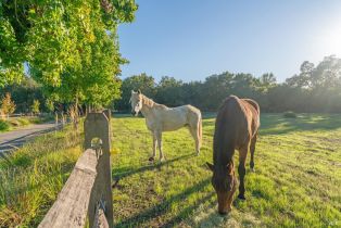 Single Family Residence, Balverne lane, Windsor, CA 95492 - 5