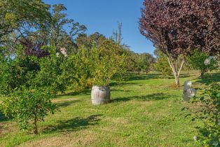 Single Family Residence, Balverne lane, Windsor, CA 95492 - 54