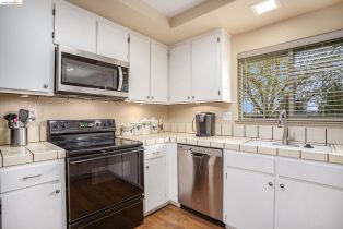 Single Family Residence, 16 Cindy pl, Brentwood, CA 94513 - 4