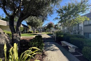 Condominium, 5516 Cribari Bnd bnd, San Jose, CA 95135 - 2