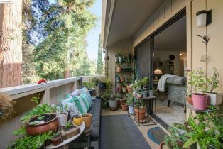 Condominium, 986 Kiely Blvd blvd, Santa Clara, CA 95051 - 30