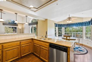 Single Family Residence, 24200 Marsh Creek Rd rd, Brentwood, CA 94513 - 12