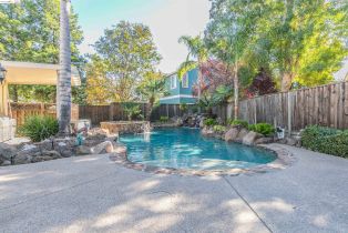 Single Family Residence, 784 Begonia dr, Brentwood, CA 94513 - 49