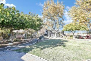 Single Family Residence, 23751 Marsh Creek Rd rd, Brentwood, CA 94513 - 39