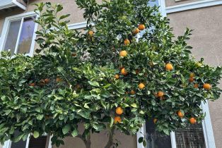 Single Family Residence, 370 Dante Ct ct, Brentwood, CA 94513 - 50