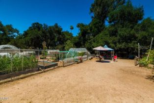 , 1273 Rice rd, Ojai, CA 93023 - 27