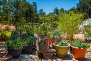 , 1273 Rice rd, Ojai, CA 93023 - 30