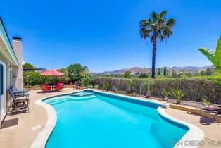 Single Family Residence, 14039 Hermosillo, Poway, CA 92064 - 39