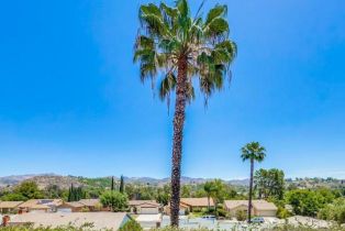 Single Family Residence, 14039 Hermosillo, Poway, CA 92064 - 41