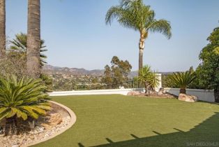 Single Family Residence, 14166 Palisades drive, Poway, CA 92064 - 45