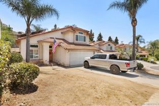 Single Family Residence, 210 Royal Glen dr, Fallbrook, CA 92028 - 27