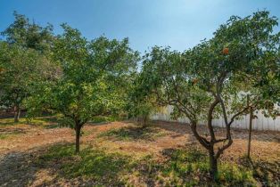 Single Family Residence, 930 Iowa, Fallbrook, CA 92028 - 29