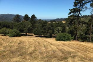 , 12 Alta Madera (Lot 4), Carmel, CA 93923 - 3