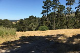 , 12 Alta Madera (Lot 4), Carmel, CA 93923 - 4