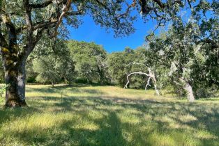 , 34221 Robinson Canyon rd, Carmel, CA 93923 - 2