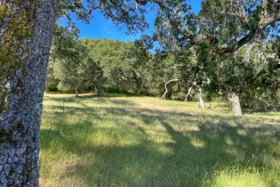 , 34221 Robinson Canyon rd, Carmel, CA 93923 - 8