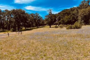 Land, 34221 Robinson Canyon Road, Carmel, CA  Carmel, CA 93923