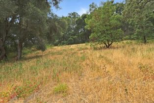 , 6 Arroyo Sequoia, Carmel, CA 93923 - 15