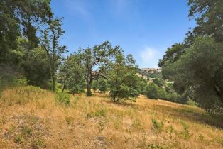 , 6 Arroyo Sequoia, Carmel, CA 93923 - 22