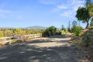 Single Family Residence, 17299 Vineland ave, Los Gatos, CA 95030 - 8