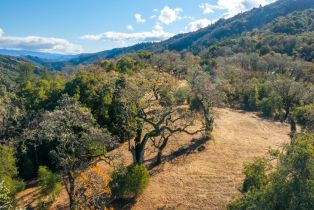 , 37 Arroyo Sequoia (Lot 113), Carmel, CA 93923 - 3