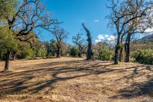 , 37 Arroyo Sequoia (Lot 113), Carmel, CA 93923 - 5