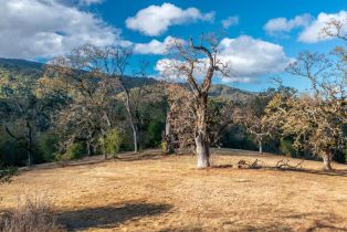 , 37 Arroyo Sequoia (Lot 113), Carmel, CA 93923 - 7