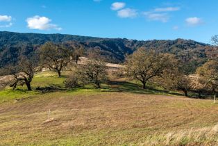 , 33 Pronghorn Run (Lot 128), Carmel, CA 93923 - 7