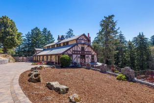 Single Family Residence, 16351 Skyline blvd, Woodside, CA 94062 - 16