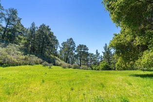 Land, 20 Tehama (Lot 38), Carmel, CA  Carmel, CA 93923