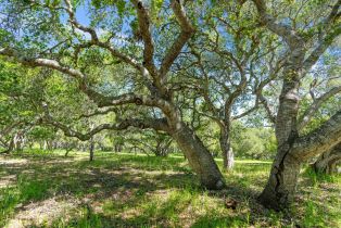 , 45 Tehama (Lot 21), Carmel, CA 93923 - 6