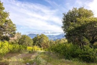 , 75 Este Alomar (Lot 56), Carmel, CA 93923 - 4