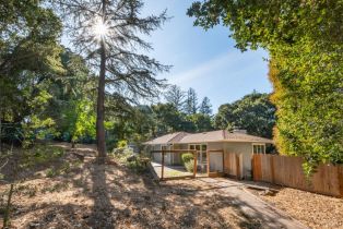 Single Family Residence, 156 Bardet rd, Woodside, CA 94062 - 13