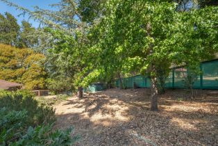 Single Family Residence, 156 Bardet rd, Woodside, CA 94062 - 15